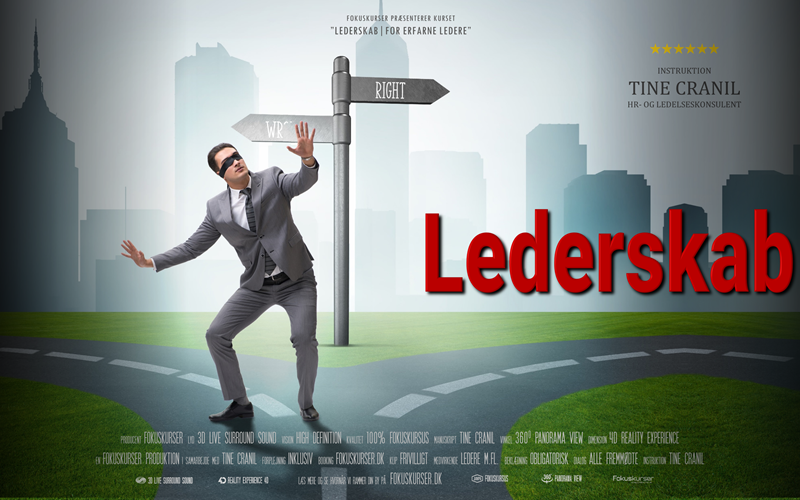 Lederskab - for erfarne ledere