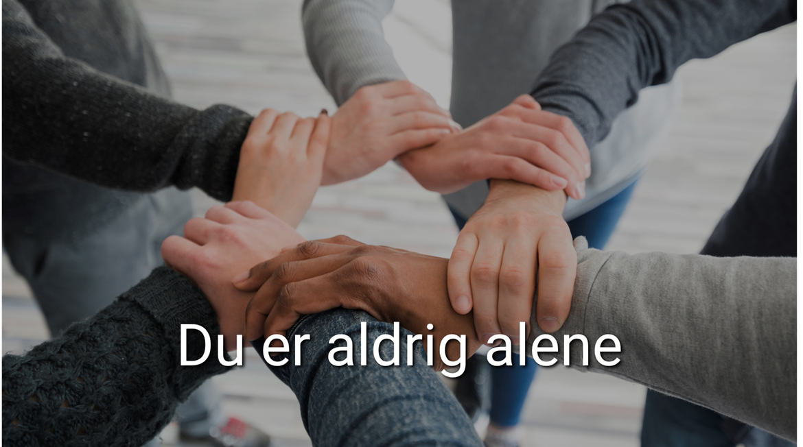 Grafik Se Vores Netvaerk 2