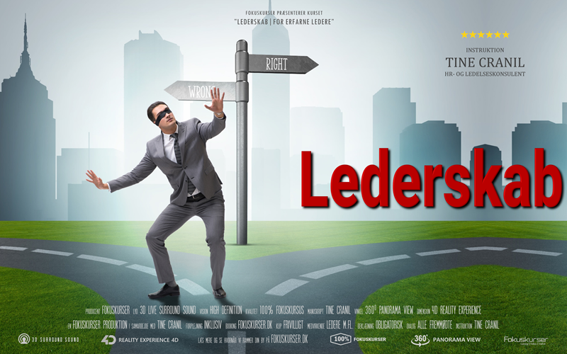 Lederskab - for erfarne ledere