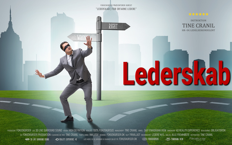 Lederskab - for erfarne ledere